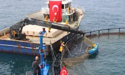 Avcılıkta artış, iç sularda düşüş!