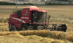 Edirne Keşan'da ilk arpa hasadı... Çiftçi fiyattan dertli