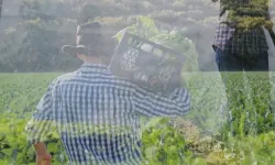 Bayburt'a 2,4 milyar TL'lik sulama yatırımı... 57 bin 700 dekar arazi modern sulamaya kavuşacak
