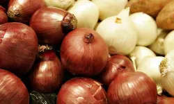Kuru soğanda gümrük geçici yüzde 5'e indirildi
