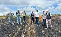 Yangından etkilenen çiftçiye Kocaeli Büyükşehir el uzattı