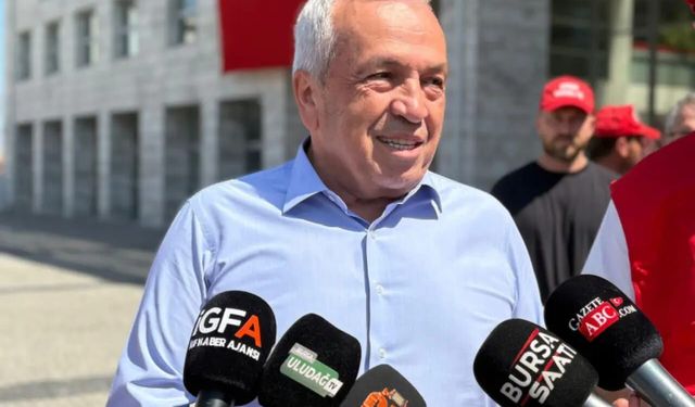Nilüfer’de Manolya Skandalı: Ağaçlar Bakımsızlığa Kurban Gitti