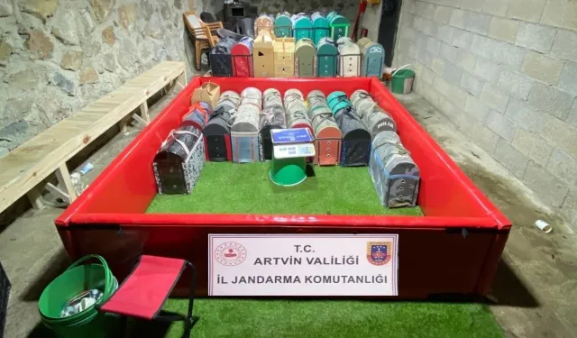 Artvin'de horoz dövüştürenlere rekor ceza