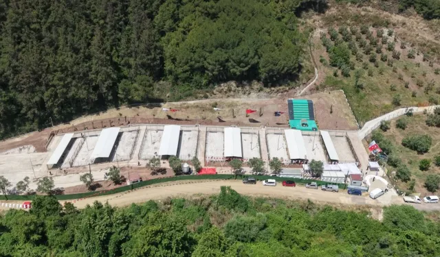 Bursa Gemlik'te sahipsiz hayvanlara modern yaşam alanı