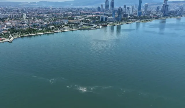İzmir Körfezi'nde 14'üncü kirlilik tespiti