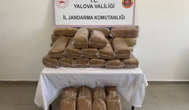 Yalova'da 160 kilogram bandrolsüz tütün ele geçirildi