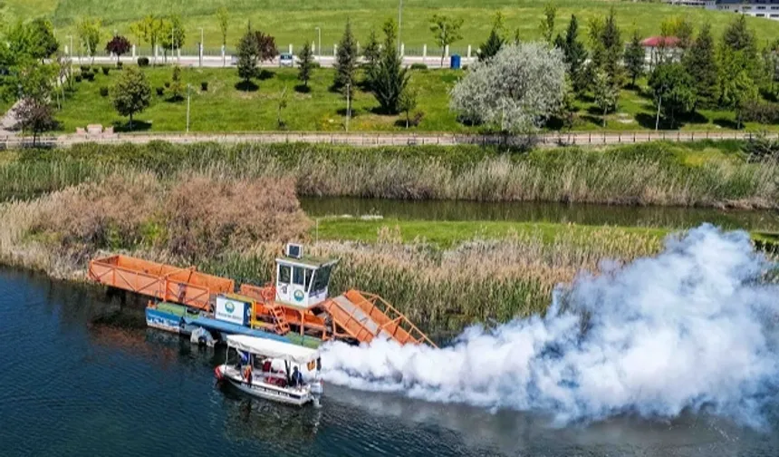 Başkent'te haşerelere geçit yok