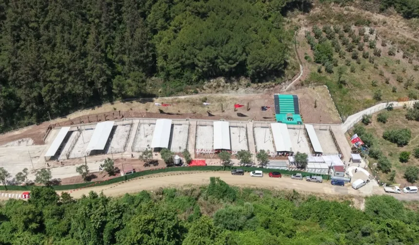 Bursa Gemlik'te sahipsiz hayvanlara modern yaşam alanı