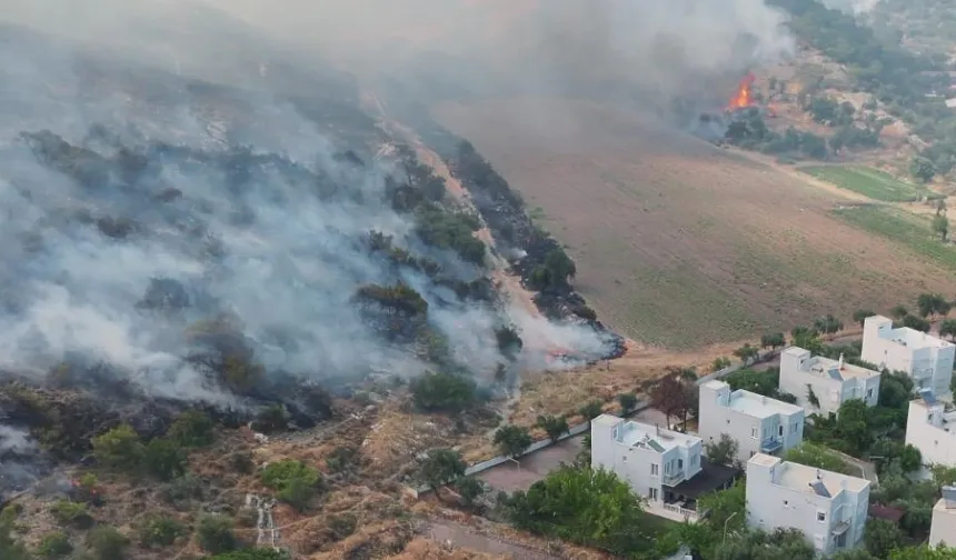 İzmir Dikili'de otluk ve zeytinlik alanda çıkan yangına müdahale sürüyor