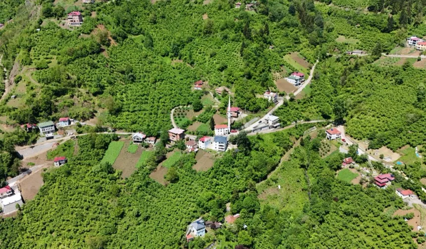 Trabzon Maçka'da içme suyu sorunu çözülüyor