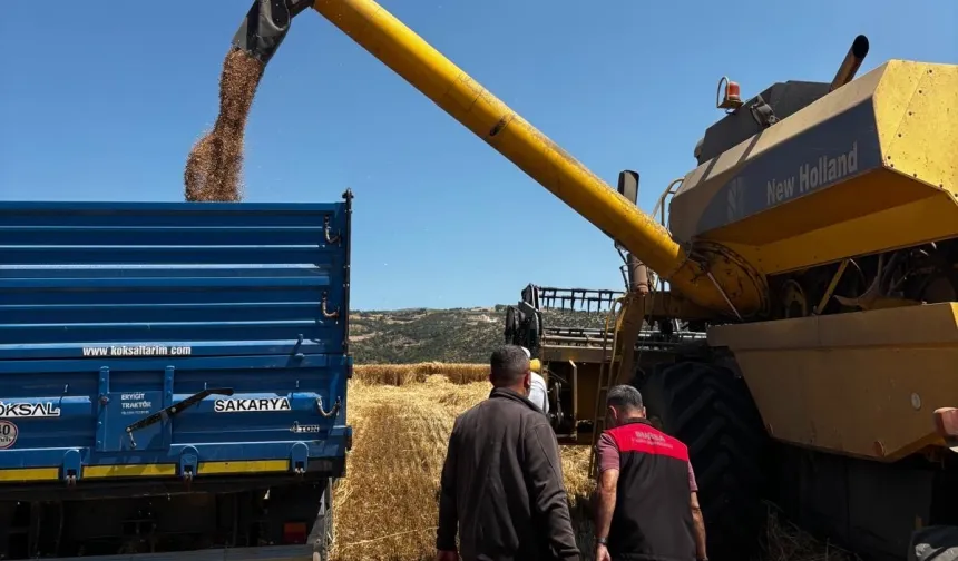 Bursa'da hububat hasadında sıkı denetim... Dane kaybına geçit yok