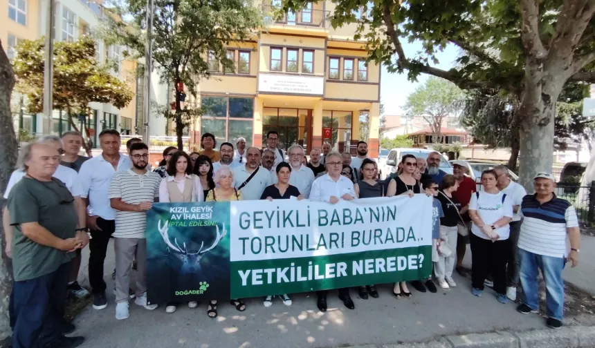 Bursa'da kızıl geyiklerin av ihalesine tepki! Doğa ihale edilemez