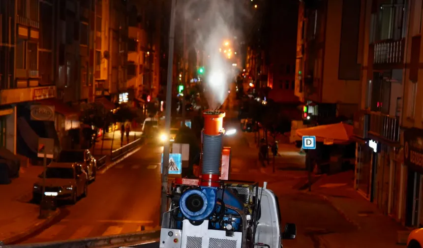 Giresun'da gece sinek uçamıyor!